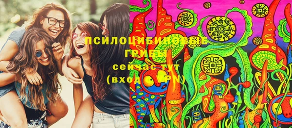 спайс Алзамай