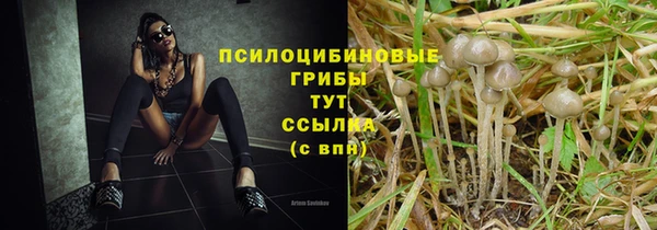 амфетамин Алексеевка