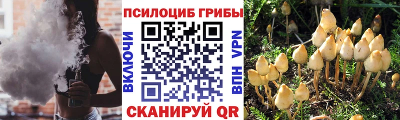 Галлюциногенные грибы ЛСД  Астрахань 
